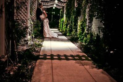 Purely Captivating Photography