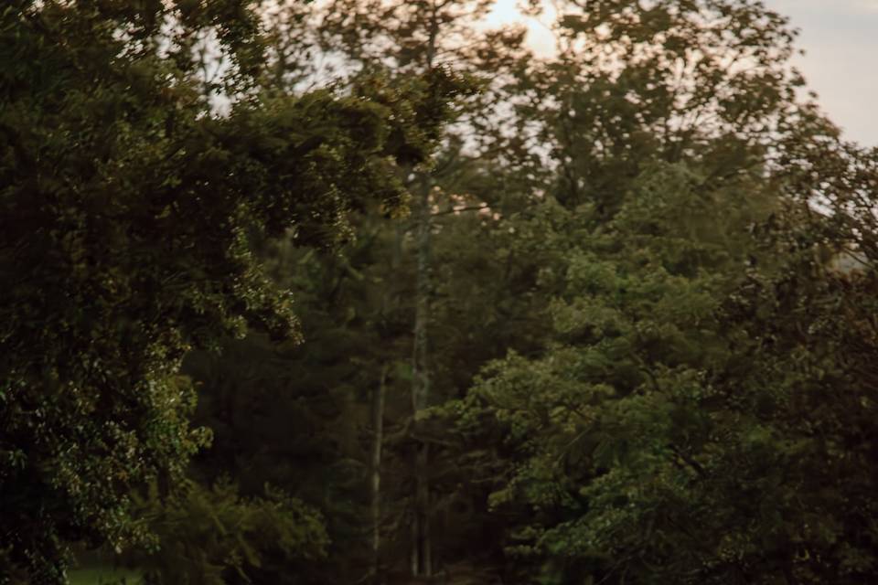 Tristan Duplichain Photography