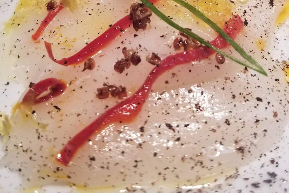 Sashimi