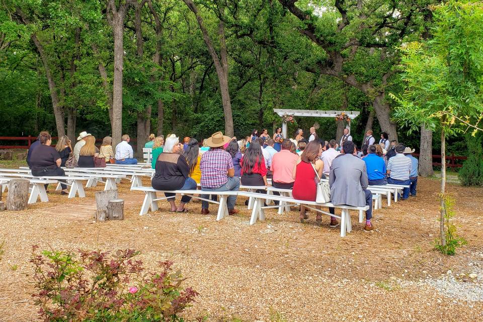 Outdoor Ceremony