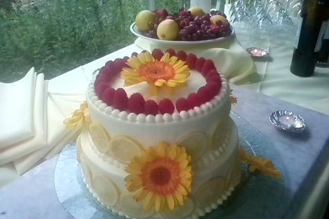 2 layered cakw