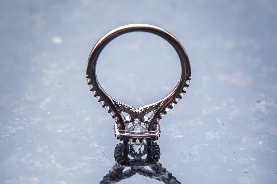 Dream Catcher Photography