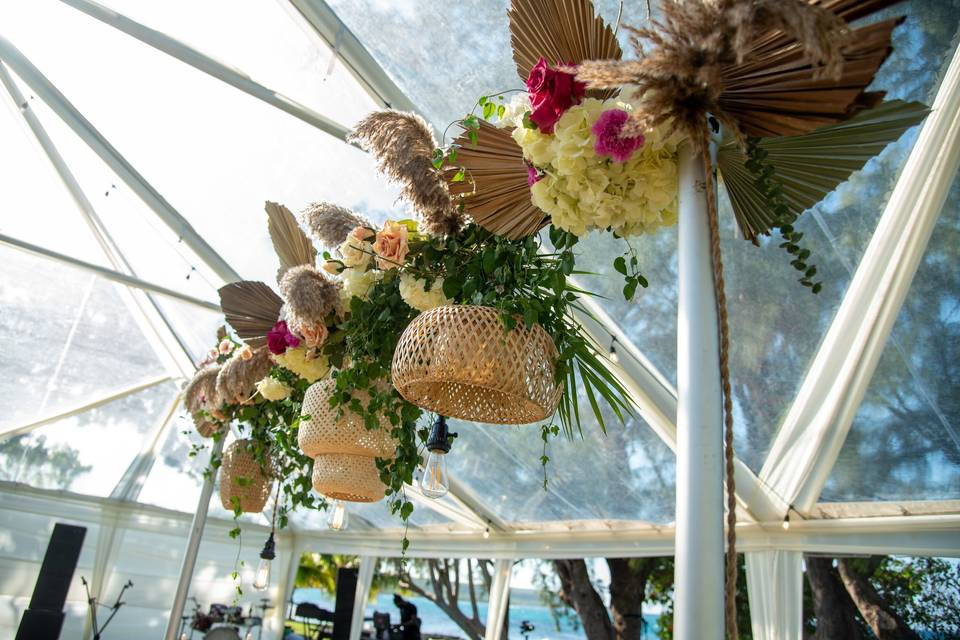 Millenium Luxury Occasions