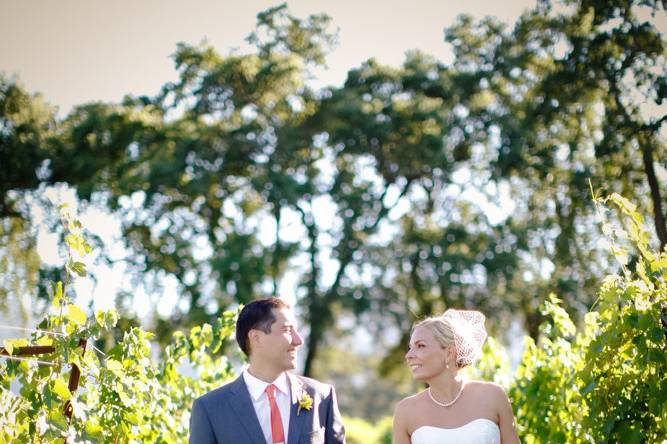 Newly-weds take a stroll in the vineyard