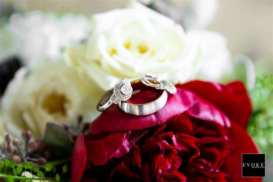 The rings