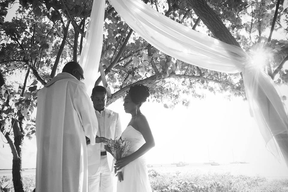 VOWS Barbados