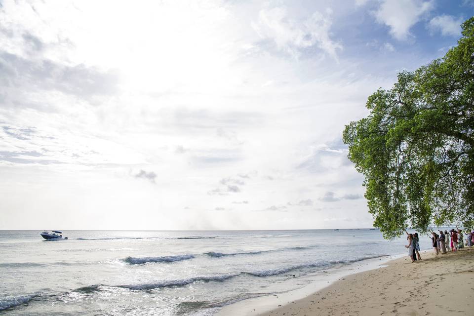 VOWS Barbados