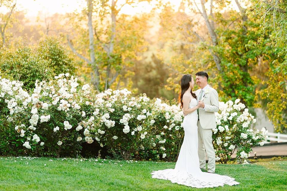 Bride & Groom Portraits