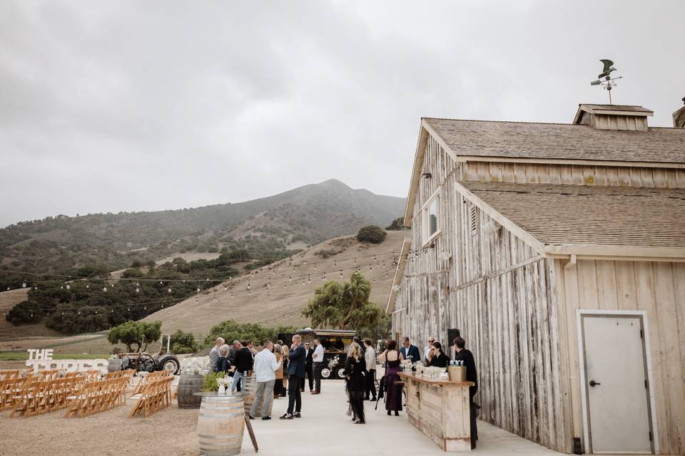 Rustique Wines