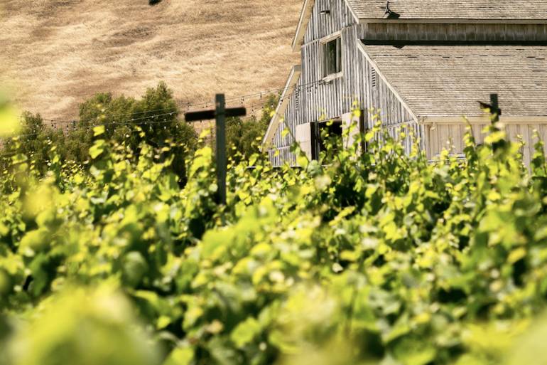 Rustique Wines