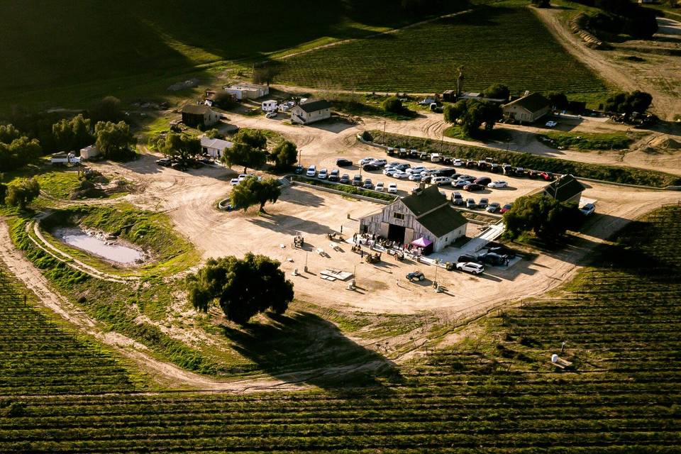 Rustique Wines