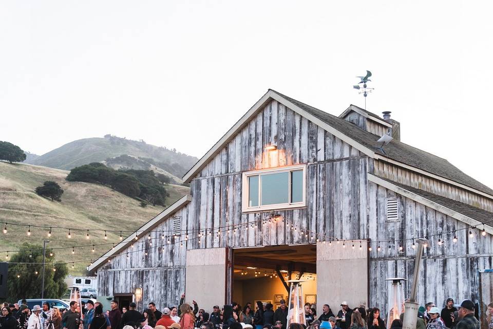Rustique Wines