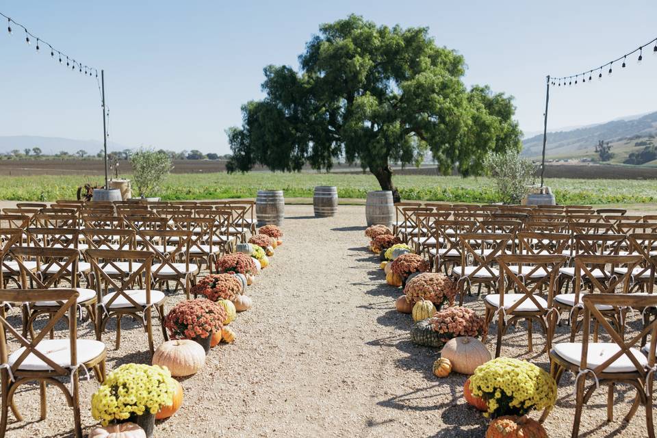 Rustique Wines