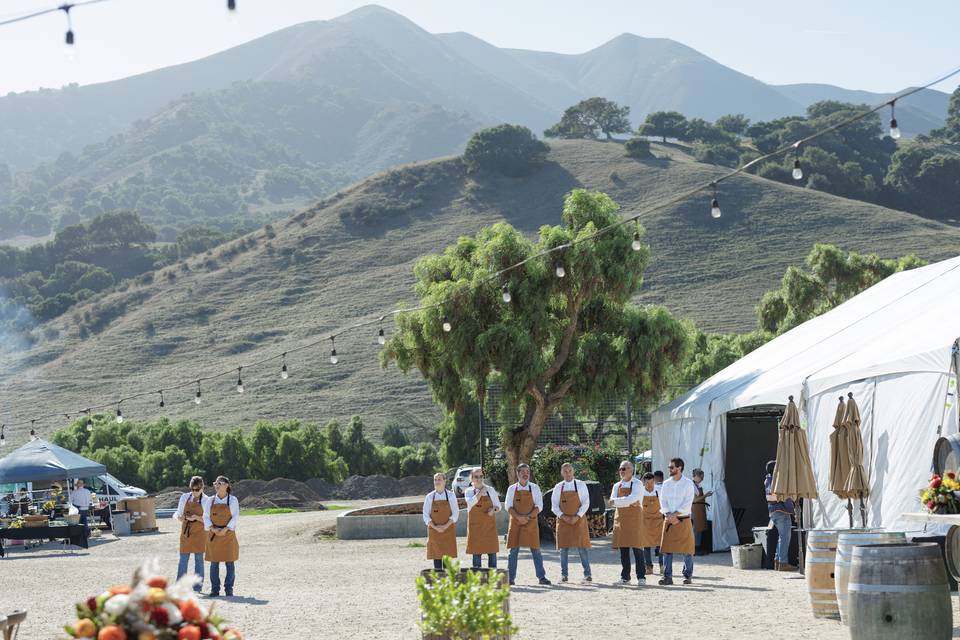 Rustique Wines