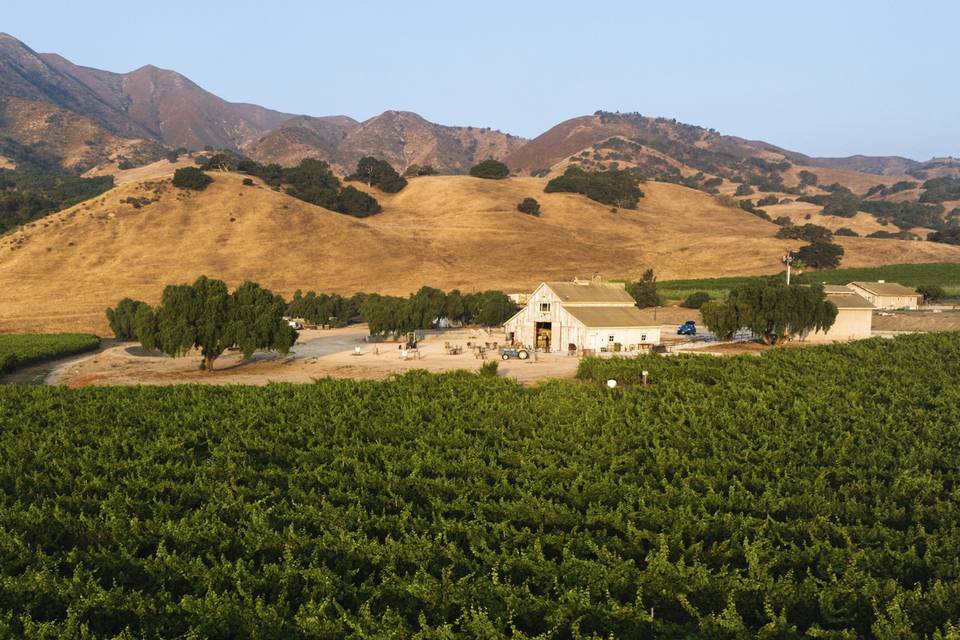 Rustique Wines