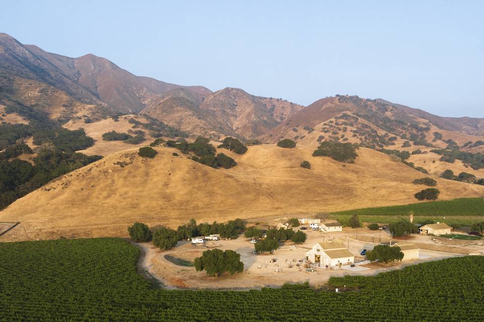 Rustique Wines