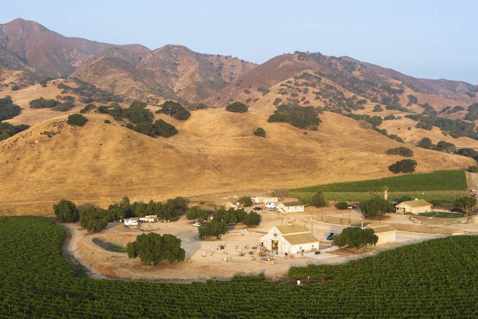 Rustique Wines