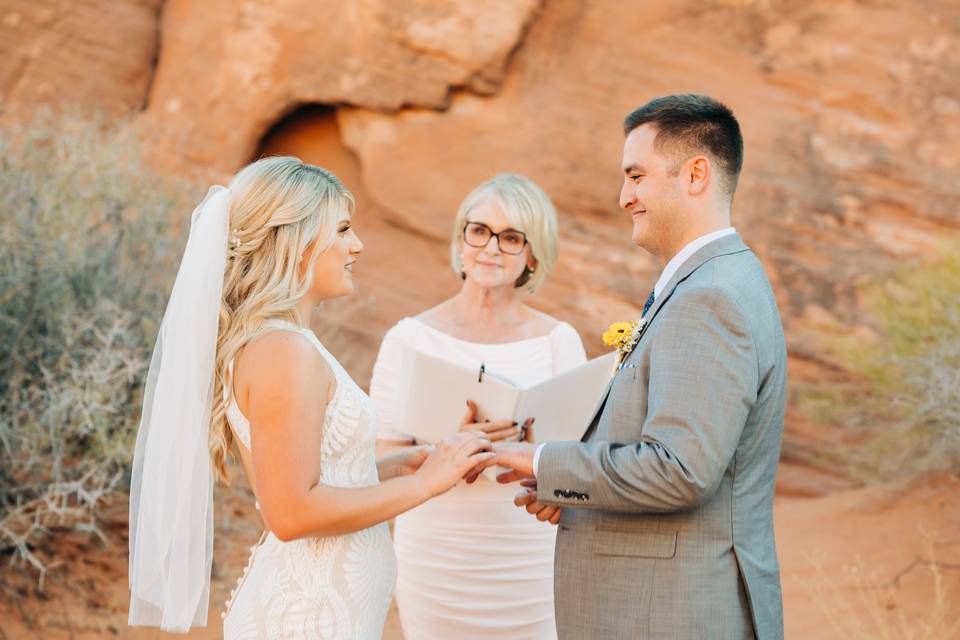 Valley of Fire on a sunny day!