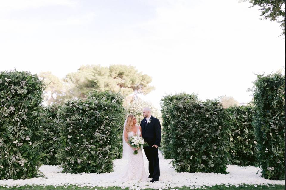 A sea of white rose petals