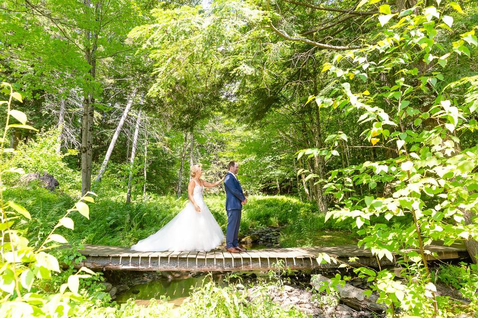 First Look, Snowshoe Trail