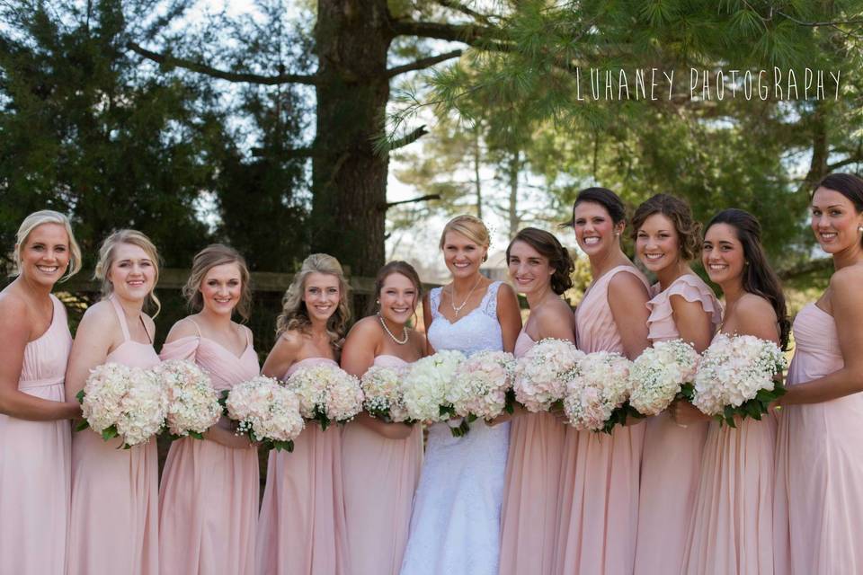 Bride and bridesmaids