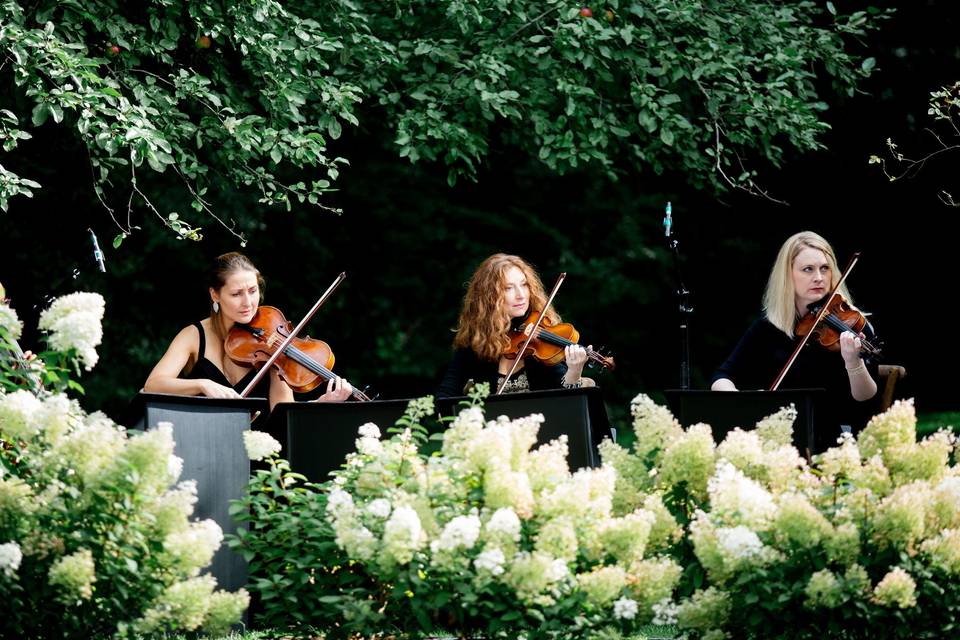 Ceremony Musicians