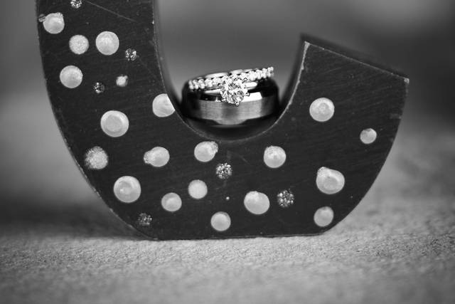 Blue Fox Photography