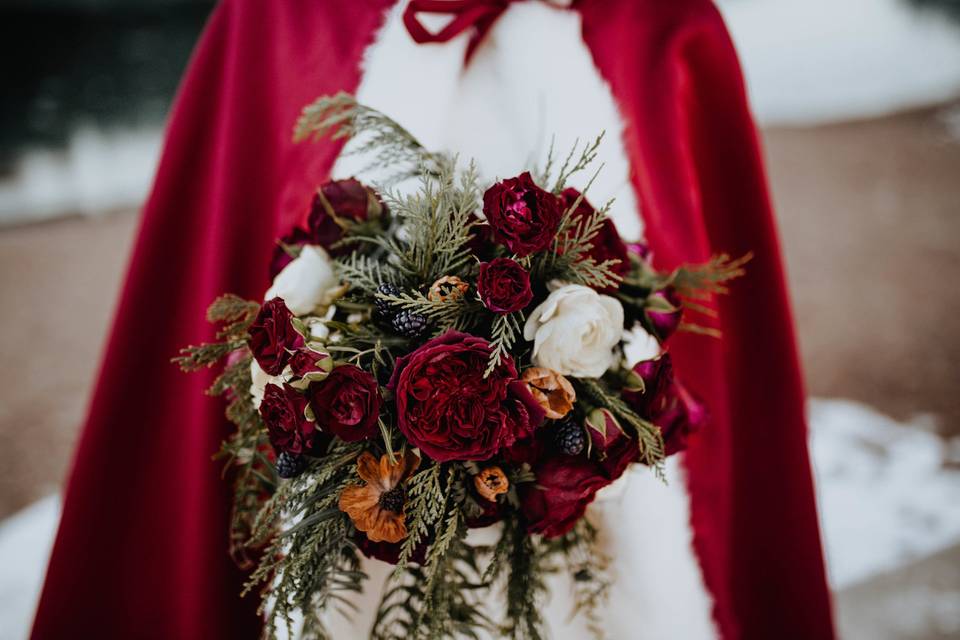 Cecilia Harvard Photography