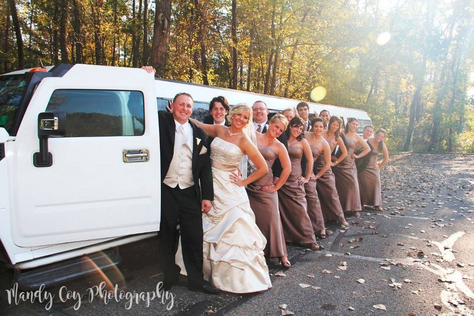 Bridal party with limo