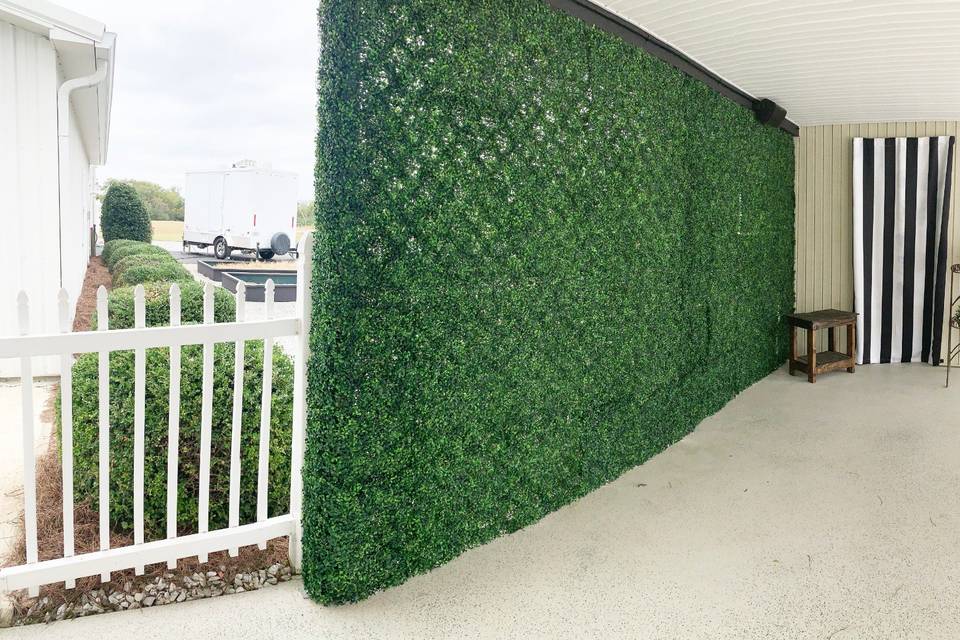 Hedge Wall at Pinewood Retreat
