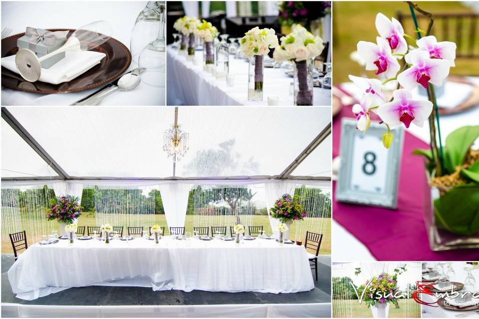 Zedoj Events & Weddings