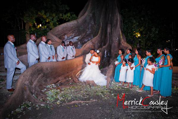 Zedoj Events & Weddings