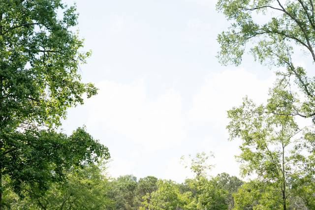 Lakefront Ceremony Wedding