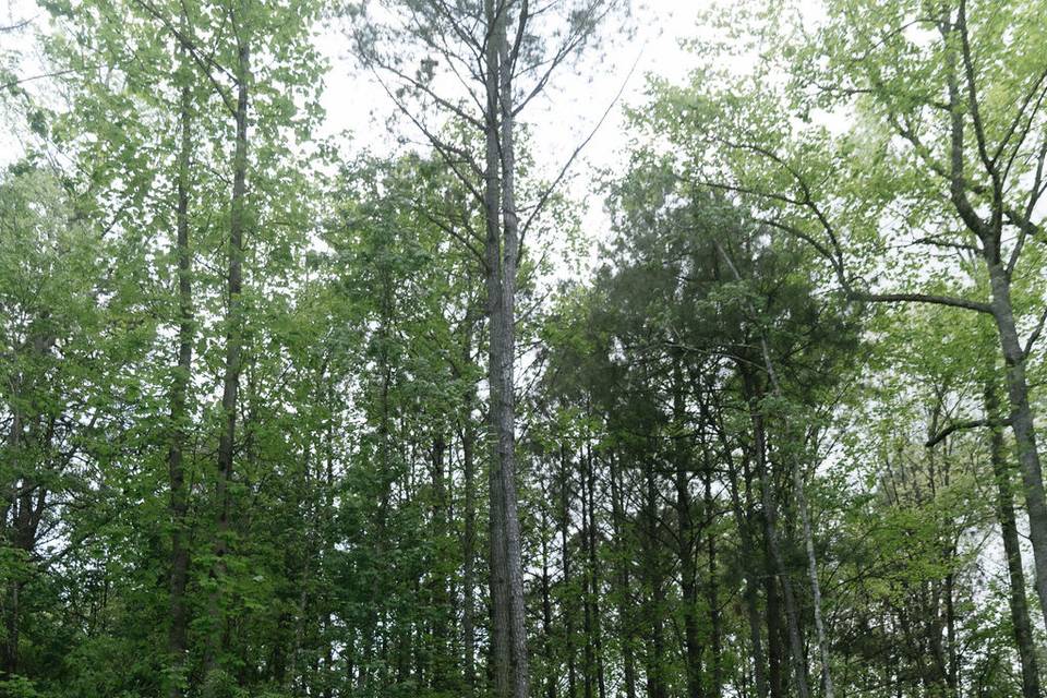 Wedding Venue East Tennessee