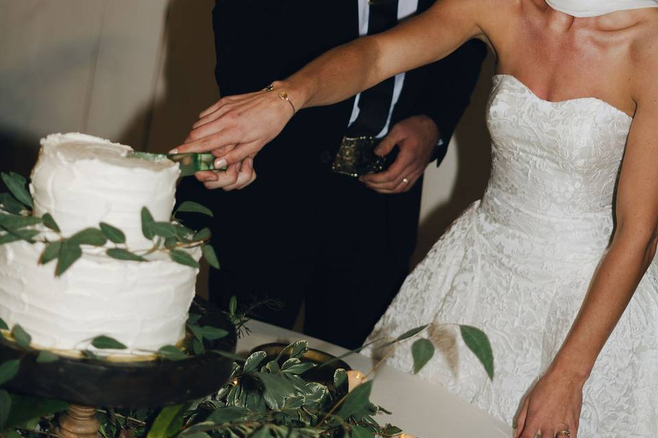 Couple cake cutting