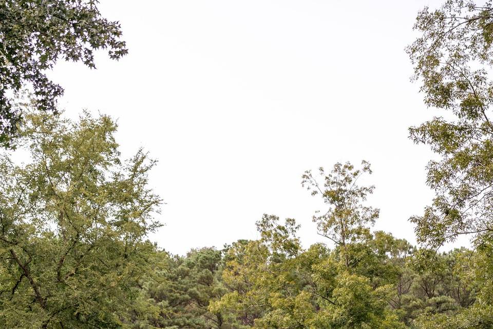 Lakefront Ceremony Wedding