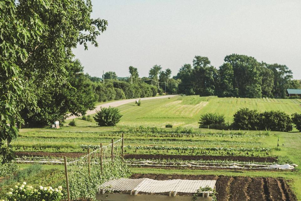 Heritage Prairie Farm