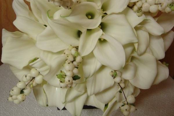 Signature Creations, Jean