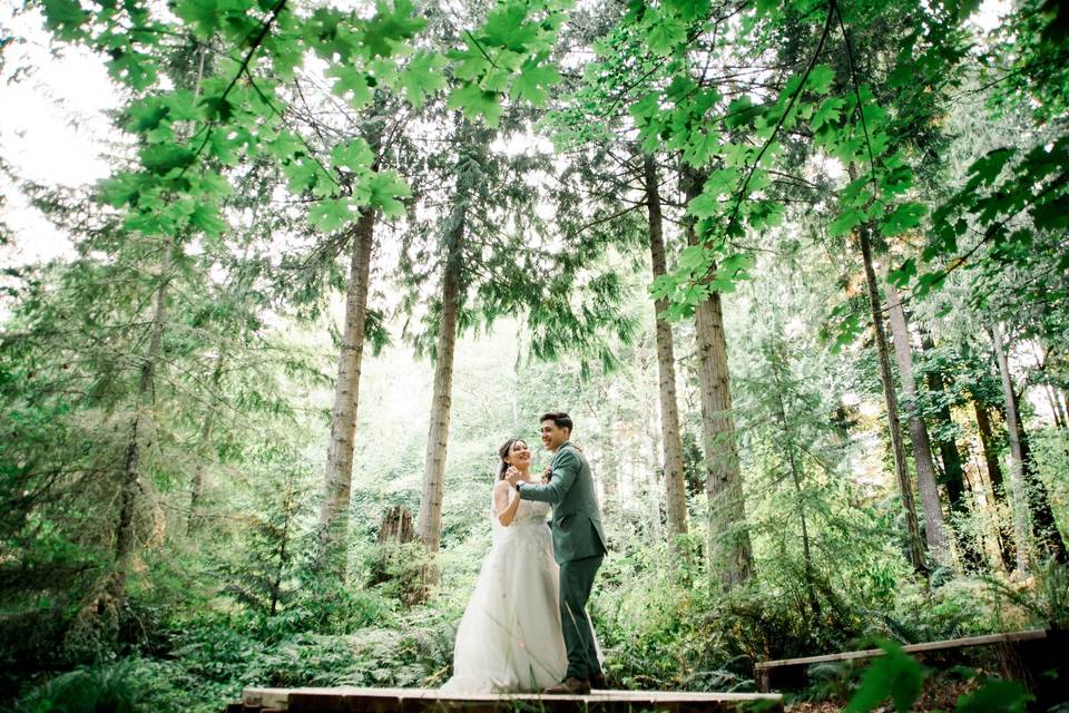 Forest Dance