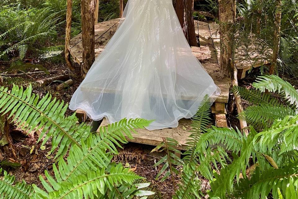 Dress in the forest
