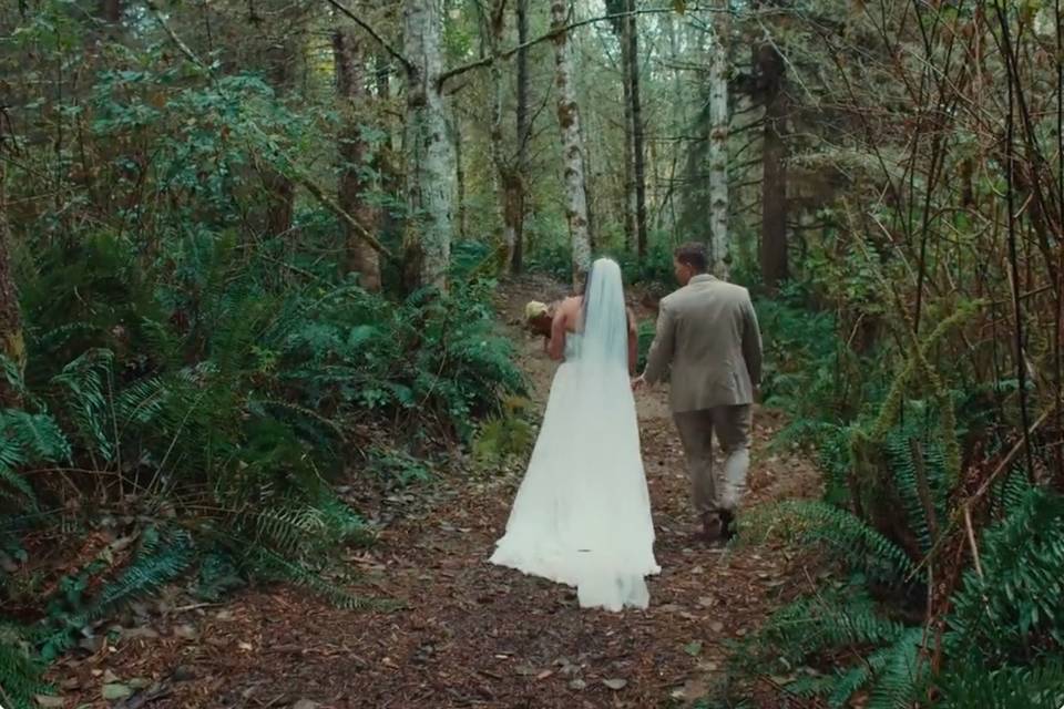 Forest Walk