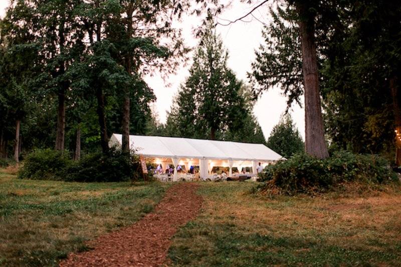 Tent in the forest