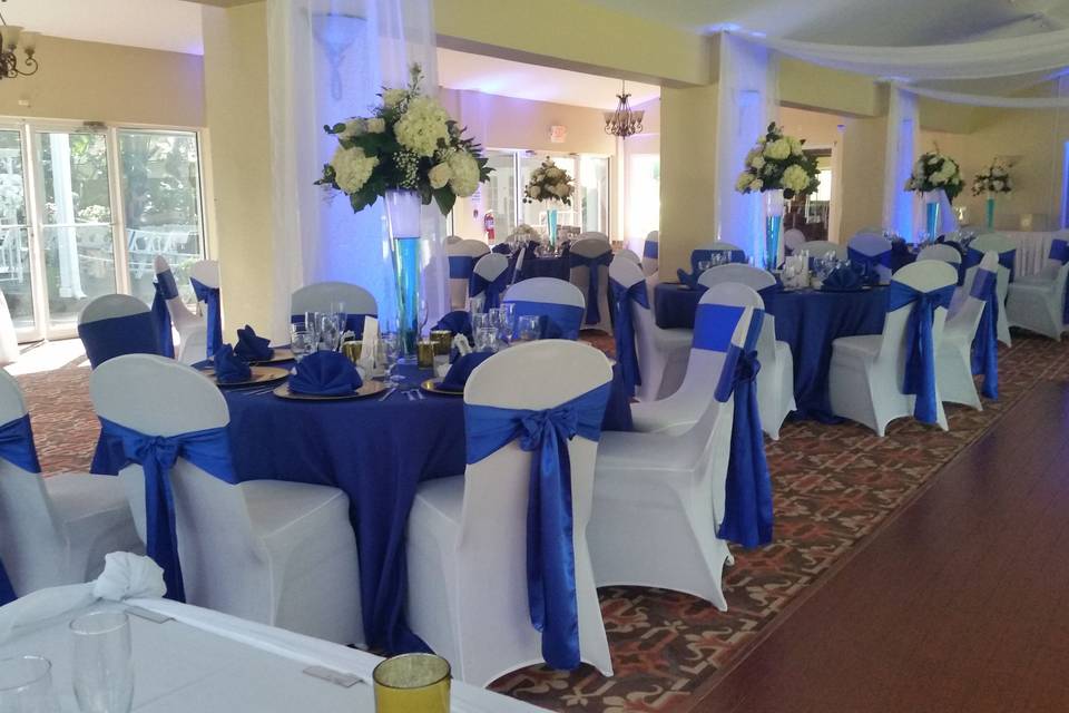 White and blue theme