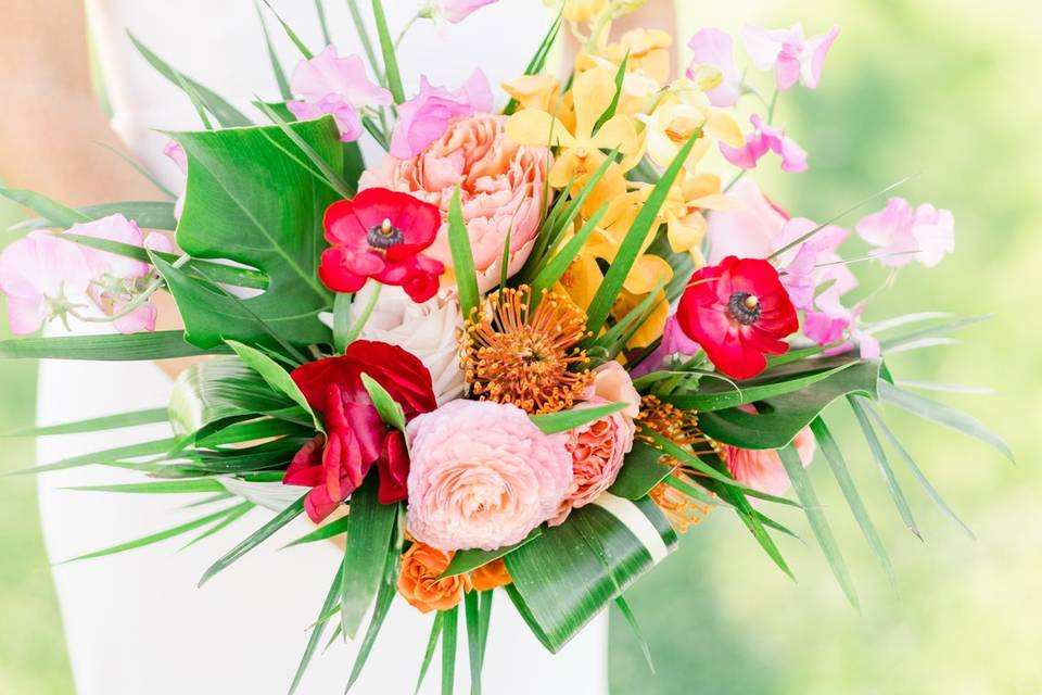 Antonio Burruel Weddings