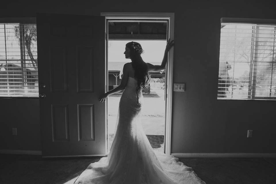 Antonio Burruel Weddings