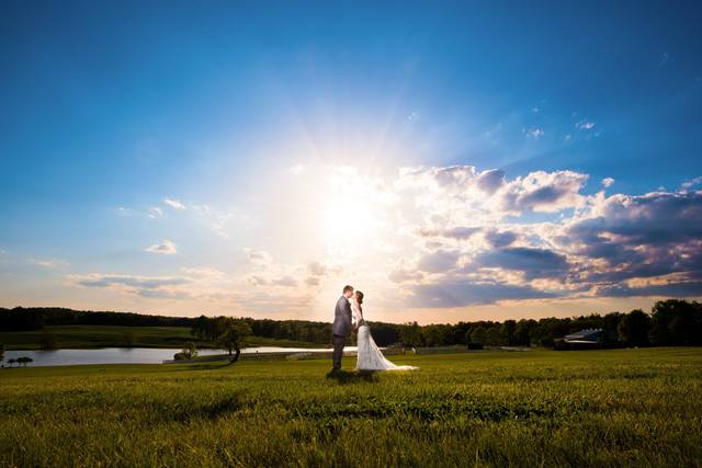 Andrea Anderson Photography