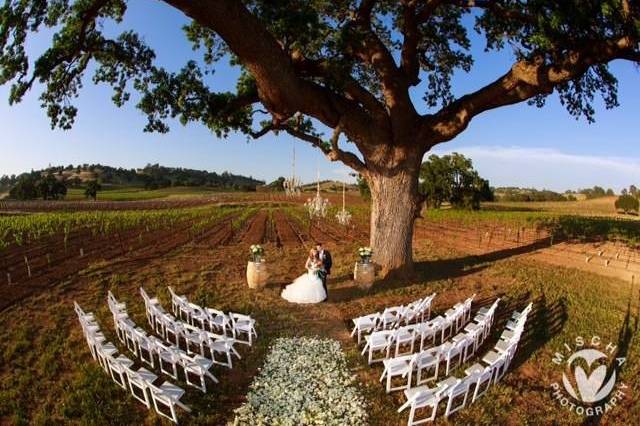 Use our white resin/wood padded chairs to make an elegant setting to remember (Rancho Victoria)