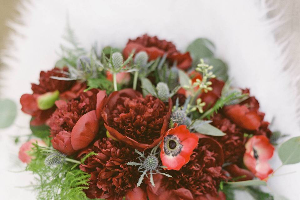 Beauty & Bloom