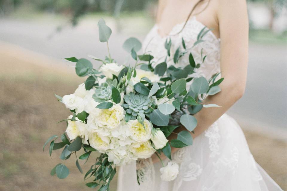 Beauty & Bloom