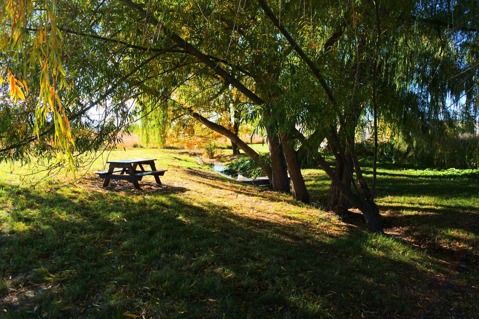 Picnic setup